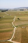photo de la route des grands crus beaune