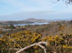 Randonnée dans le parc national du Connemara à Letterfrack