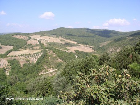 Paysage de Toscane