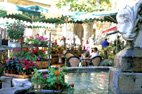 Visiter Aix en Provence le marché aux fleurs