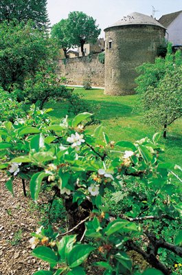 Photo tour Blondeau &agrave; Beaune