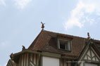 Cliquez sur la vignette pour agrandir la photo