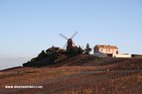 Cliquez sur la vignette pour agrandir la photo