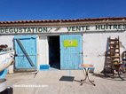 Visite de l'ile d'Aix bar à huitres