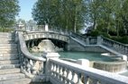 picture garden_darcy_dijon