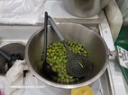 Olives picholine de Nîmes
