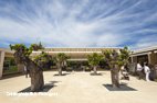 Visiter le Pont du Gard l'accueil et la billeterie