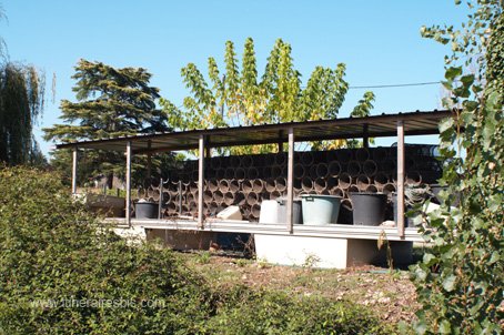 Visite à la ferme du Cabestan abri pour les nasses