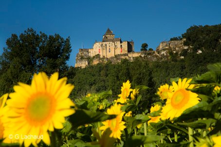 Château de Castelnaud Canon Veuglaire