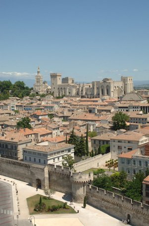 Visit Town of Avignon photograph Palate of the Popes and the roofs of the town of Avignon