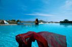 Photo du Elounda Beach