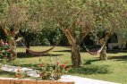 Photo de Hotel IDI Zaros