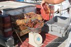 Vister Agia Galini Le port et la pêche... de langoustes