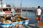 Vister Agia Galini les pêcheurs