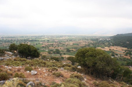le plateau du Lassithi