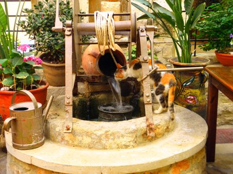 Le Restaurant Pigadi à Rethymno le chat et la fontaine