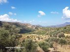 Paysage autour de Malia