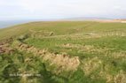 Falaises de Moher Wild Atlantic Way la lande
