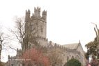 Viste de Limerick la cathédrale Sainte Mary