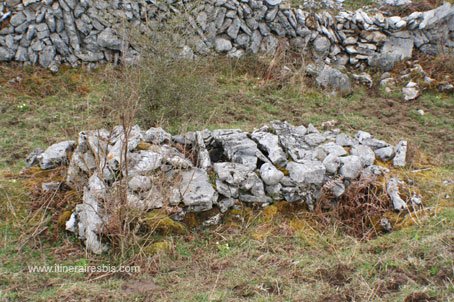 Randonnée dans le parc de Burren une chambre funéraire