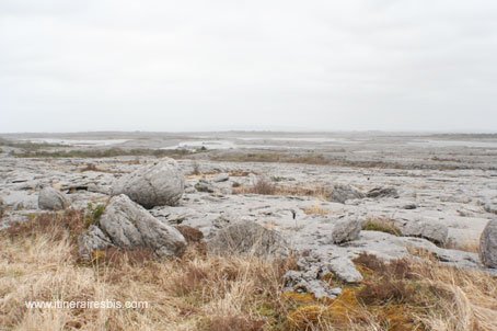 Randonnée dans le parc de Burren une mer de roches