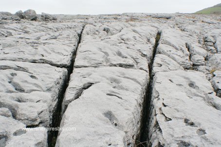 Randonnée dans le parc de Burren fissures dans la roche appelées le Lapiaz
