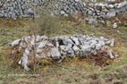 Randonnée dans le parc du Burren chambre funéraire