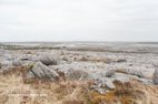 Randonnée dans le parc du Burren étendue de pierrre