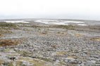 Randonnée dans le parc du Burren pierres et Fen