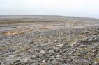 Randonnée dans le parc du Burren Lapiaz