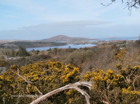 Randonnée dans le parc national du connemara les paysages sauvages