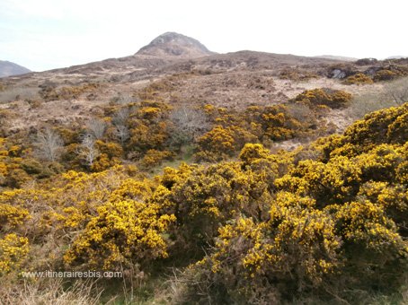 Randonnée dans le parc national du connemara la colline du diamant