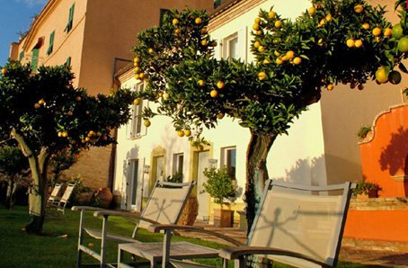 Casa Pazzi Maison d'Hôtes à Grottammare le jardin aux orangers