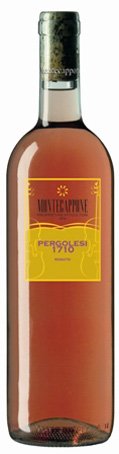 Visite des caves Montecappone à Jesi le vin Pergolesi