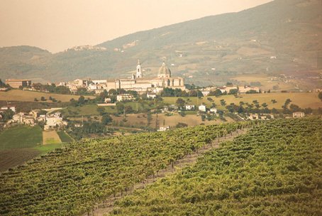 L'Azienda Azienda agricole de la Sainte Maison