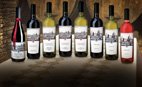 Visite des caves de l'Azienda de la Sainte Maison production de vins