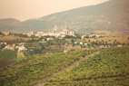 Visite des caves de l'Azienda de la Sainte Maison à Loreto