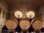 Visite des caves Cascina Chicco les bariques