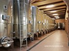 Visite des caves Cascina Chicco les cuves en inox