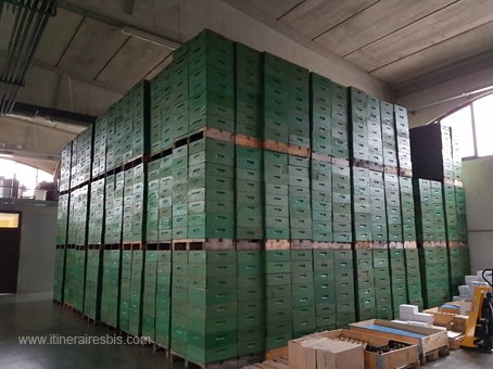 Les cadres des ruches sont stockées avant de récolter le miel