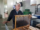 Cauda Miel Apiculteur depuis plusieur générations