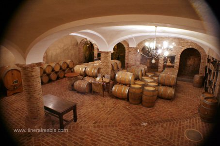 caves en sous sol de La Torricella