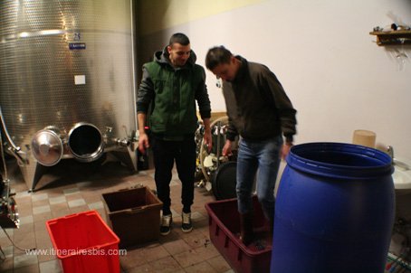 Visiter les caves La Torricella on foule encore traditionnelement