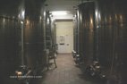 Visite des caves Torricella les cuves en inox