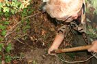 Acqualagna il faut sortir la truffe