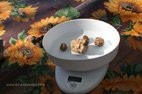 Acqualagna pesée des truffes blanches