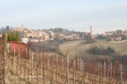 Paysage de la région des Langhe et Reoero