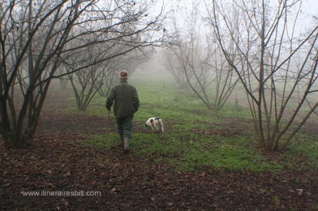 Départ pour notre recherche de truffes