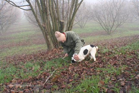 Carlo et stella ont découvert une truffe