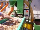 Terra delle Nocciole le tri